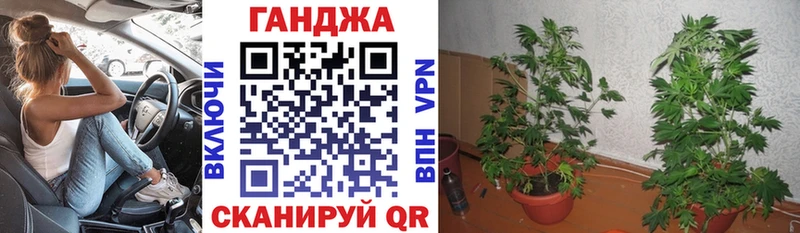 Бошки Шишки SATIVA & INDICA  omg как зайти  Поронайск  цены  